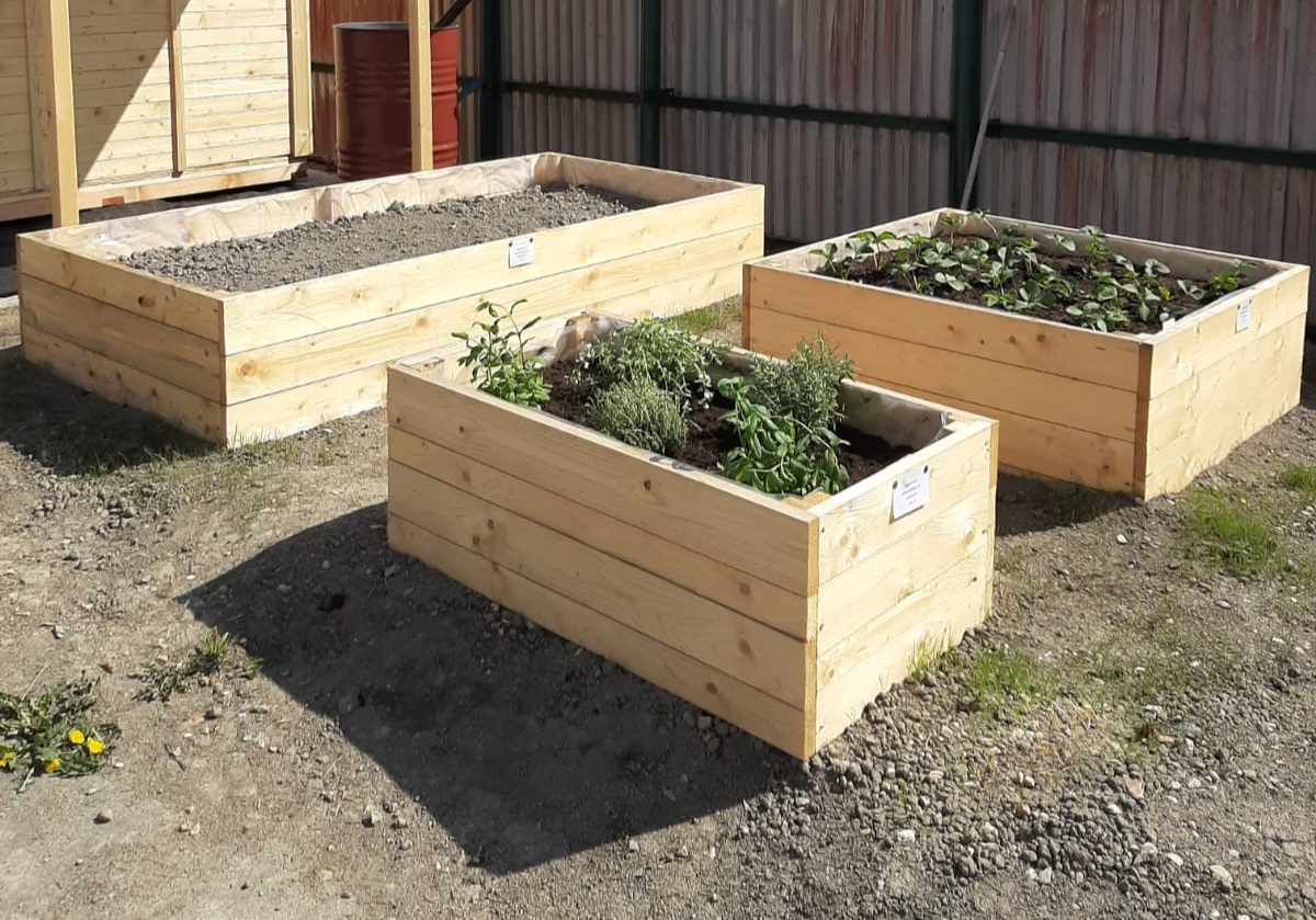 Nabídka našich vyvýšených zahradních dřevěných zahradních záhonů.